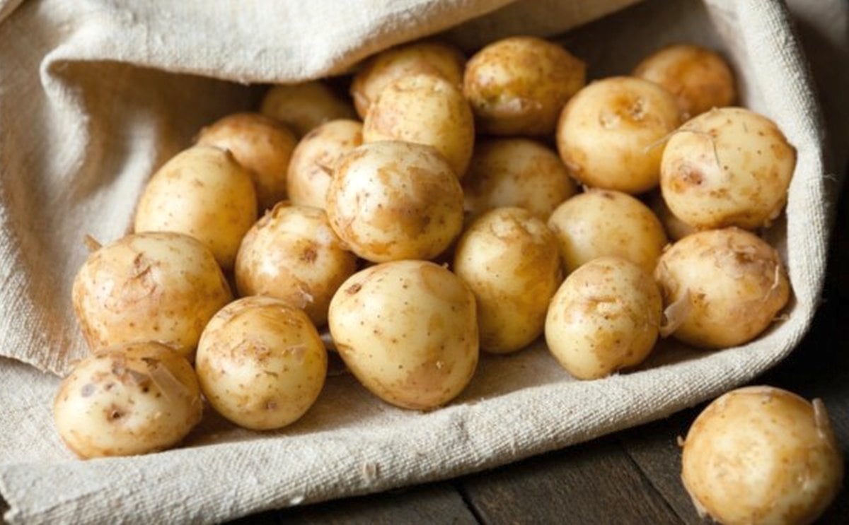 Potato market - Ukraine plans to ban imports from Russia Potato market - Ukraine plans to ban imports from Russia
